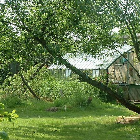 Chambres D'Hotes Le Pont Romain Montfort-le-Gesnois Экстерьер фото